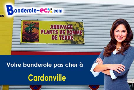 Impression de banderole publicitaire à Cardonville (Calvados/14230)