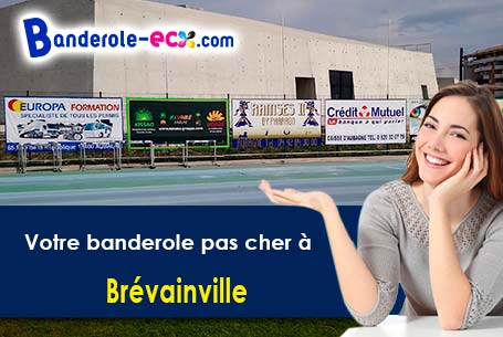 Banderole personnalisée pour vos événements à Brévainville (Loir-et-Cher/41160)