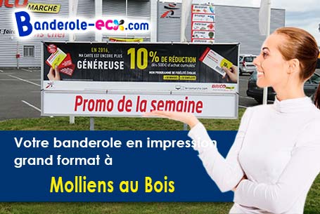 Création maquette gratuite de votre banderole pas cher à Molliens-au-Bois (Somme/80260)