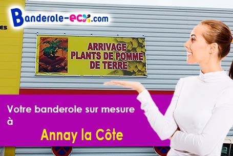 Création graphique gratuite de votre banderole pas cher à Annay-la-Côte (Yonne/89200)