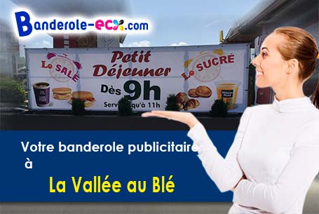 Banderole pas cher sur mesure à La Vallée-au-Blé (Aisne/2140)