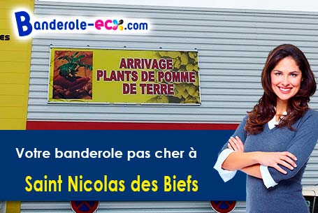Banderole pas cher sur mesure à Saint-Nicolas-des-Biefs (Allier/3250)