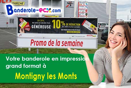 Impression de banderole publicitaire à Montigny-les-Monts (Aube/10130)
