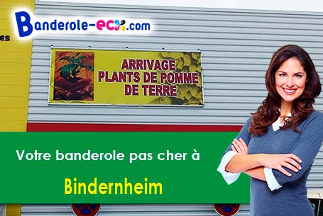 Création inclus pour votre banderole pas cher à Bindernheim (Bas-Rhin/67600)