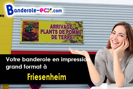 Création inclus pour votre banderole pas cher à Friesenheim (Bas-Rhin/67860)