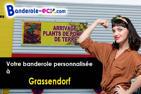 Création inclus pour votre banderole pas cher à Grassendorf (Bas-Rhin/67350)