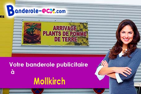 Création gratuite de votre banderole publicitaire à Mollkirch (Bas-Rhin/67190)