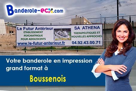 Banderole publicitaire pour vos foires à Boussenois (Côte-d'or/21260)