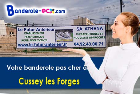 Banderole publicitaire pour vos foires à Cussey-les-Forges (Côte-d'or/21580)