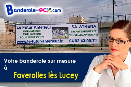 Banderole publicitaire pour vos foires à Faverolles-lès-Lucey (Côte-d'or/21290)