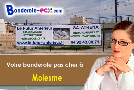 Banderole publicitaire pour vos foires à Molesme (Côte-d'or/21330)