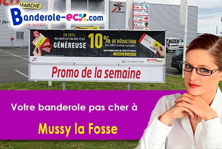 Commandez votre banderole pas cher à Mussy-la-Fosse (Côte-d'or/21150)