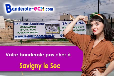 Banderole publicitaire pour vos foires à Savigny-le-Sec (Côte-d'or/21380)