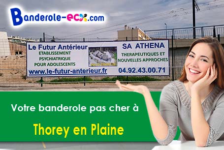 Banderole publicitaire pour vos foires à Thorey-en-Plaine (Côte-d'or/21110)