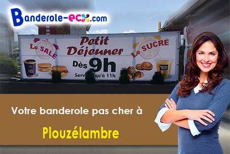 Banderole publicitaire pour vos foires à Plouzélambre (Côtes-d'armor/22420)