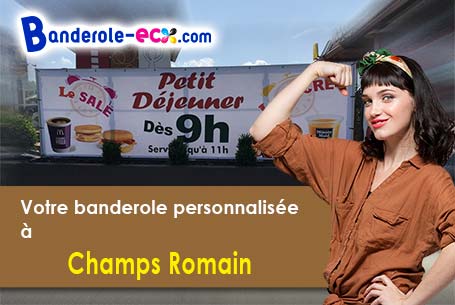 Commandez votre banderole pas cher à Champs-Romain (Dordogne/24470)