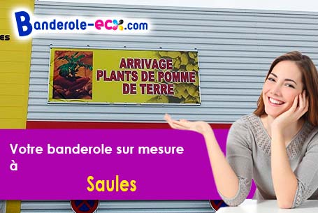 Banderole publicitaire pour vos foires à Saules (Doubs/25580)