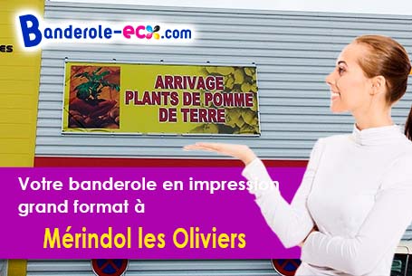 A Mérindol-les-Oliviers (Drôme/26170) commandez votre banderole personnalisée