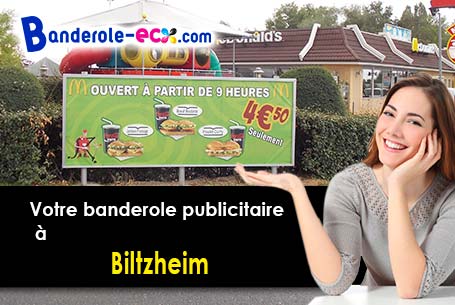 Création inclus pour votre banderole pas cher à Biltzheim (Haut-Rhin/68127)