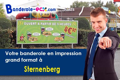 Création gratuite de votre banderole publicitaire à Sternenberg (Haut-Rhin/68780)