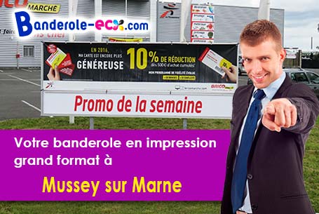 Réalisation de votre banderole publicitaire à Mussey-sur-Marne (Haute-Marne/52300)