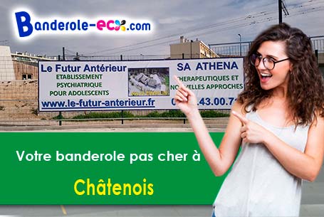Réalisation sur mesure de votre banderole publicitaire à Châtenois (Haute-Saône/70240)