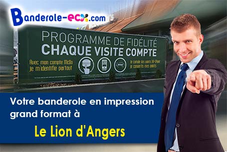 Impression de votre banderole publicitaire à Le Lion-d'Angers (Maine-et-Loire/49220)
