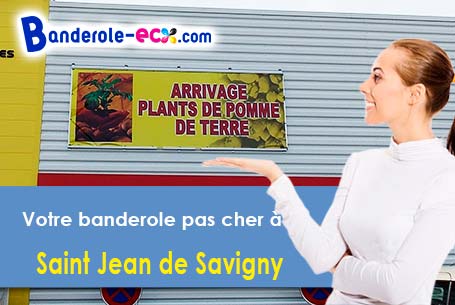 Banderole pas cher fabriqué sur mesure à Saint-Jean-de-Savigny (Manche/50680)