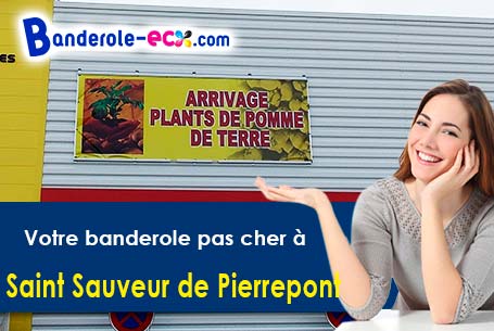 Banderole pas cher fabriqué sur mesure à Saint-Sauveur-de-Pierrepont (Manche/50250)