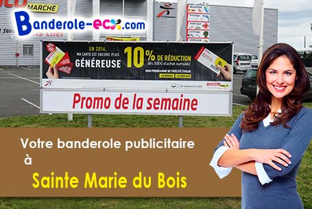 A Sainte-Marie-du-Bois (Manche/50640) fourniture de votre banderole personnalisée