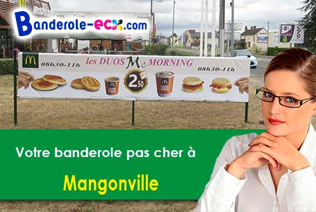 Banderole pas cher pour vos expositions à Mangonville (Meurthe-et-Moselle/54290)