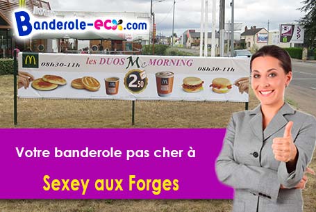 Réalisation de votre banderole publicitaire à Sexey-aux-Forges (Meurthe-et-Moselle/54550)