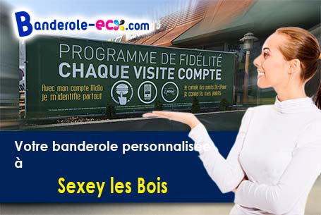 Banderole pas cher pour vos expositions à Sexey-les-Bois (Meurthe-et-Moselle/54840)