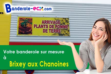 Banderole pas cher pour vos expositions à Brixey-aux-Chanoines (Meuse/55140)