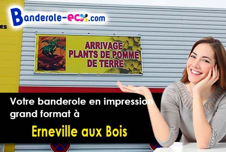 Banderole pas cher pour vos expositions à Erneville-aux-Bois (Meuse/55500)