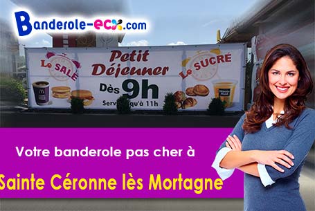 Création offerte de votre banderole publicitaire à Sainte-Céronne-lès-Mortagne (Orne/61380)