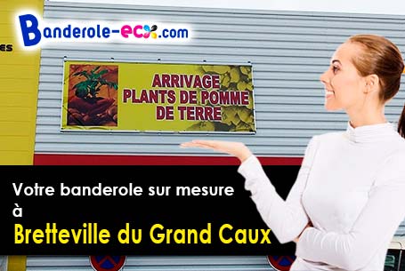 Impression grand format de votre banderole pas cher à Bretteville-du-Grand-Caux (Seine-Maritime/7611