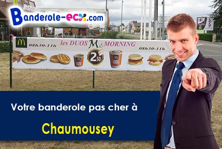 Création graphique inclus pour votre banderole publicitaire à Chaumousey (Vosges/88390)