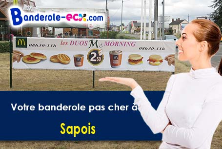 Création graphique gratuite de votre banderole publicitaire à Sapois (Vosges/88120)